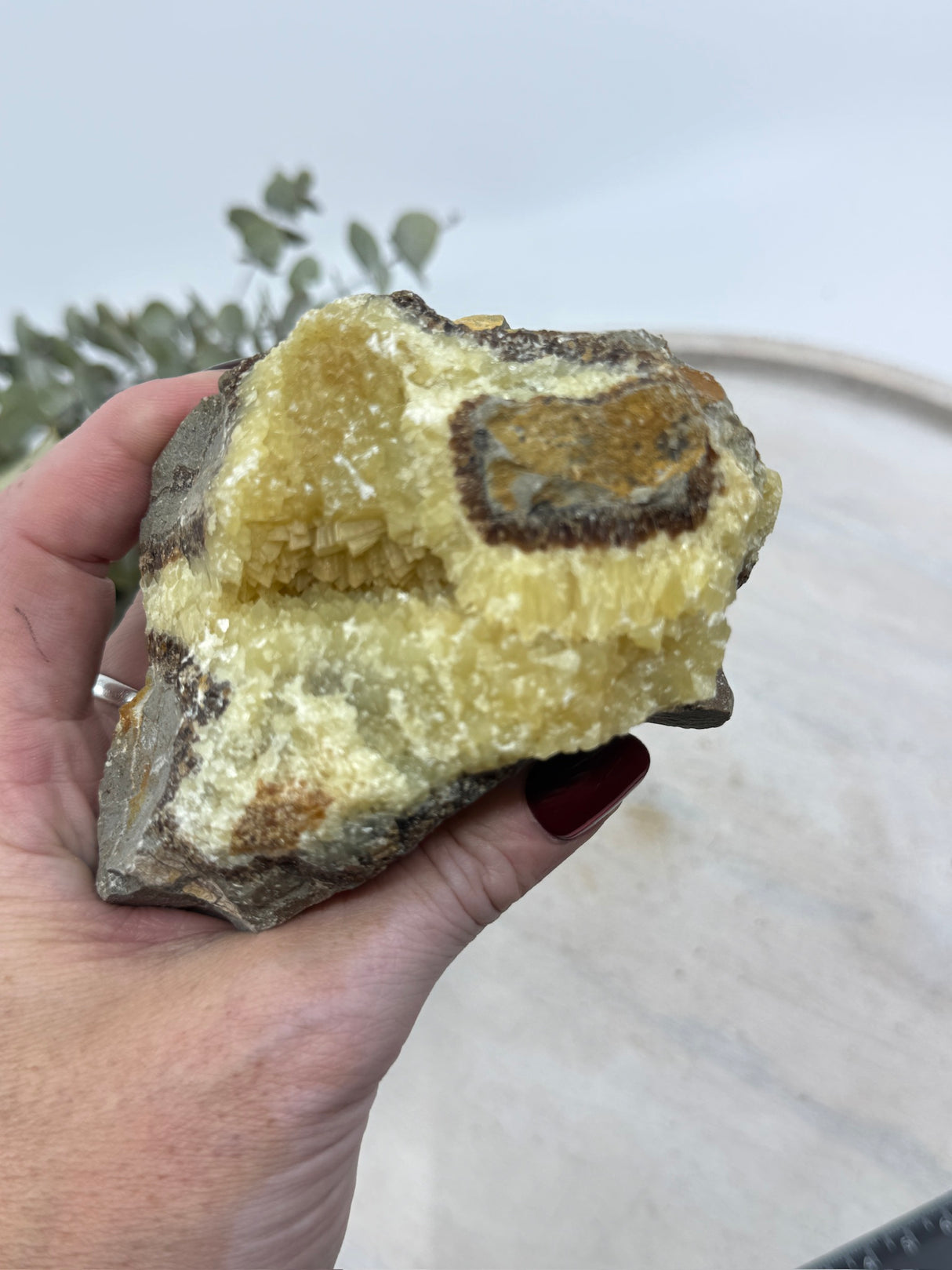 Septarian Jasper Specimen 517g (11x7cm) – Stone of Grounding, Protection & Ancient Wisdom
