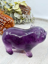 Purple Fluorite Pig Carving 431g (5x9.5cm) – Stone of Intuition, Clarity & Spiritual Balance
