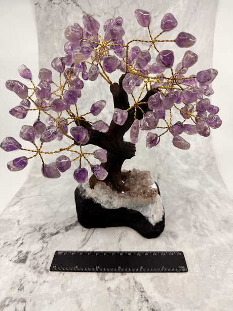 Amethyst Crystal Tree - “I trust my intuition and allow it to guide me each day”