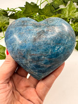 Apatite Blue Heart Carving 510g - "I work relentlessly each day to achieve my goals."