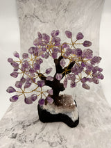 Amethyst Crystal Tree - “I trust my intuition and allow it to guide me each day”