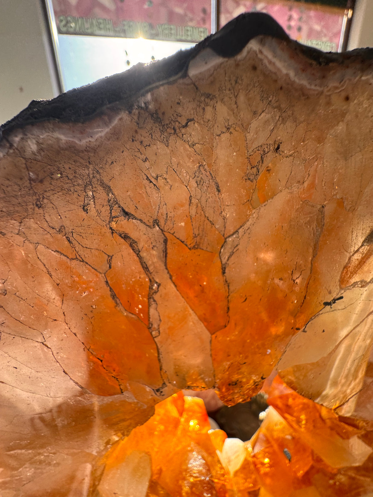 13kg Citrine Portal Ring Slice – Gateway to Abundance and Solar Power 🌞 One-of-a-kind Statement Piece