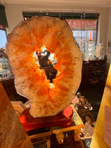 13kg Citrine Portal Ring Slice – Gateway to Abundance and Solar Power 🌞 One-of-a-kind Statement Piece
