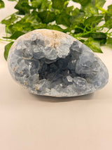 Celestite Egg 1.7kg – Whisper of the Angelic Realms