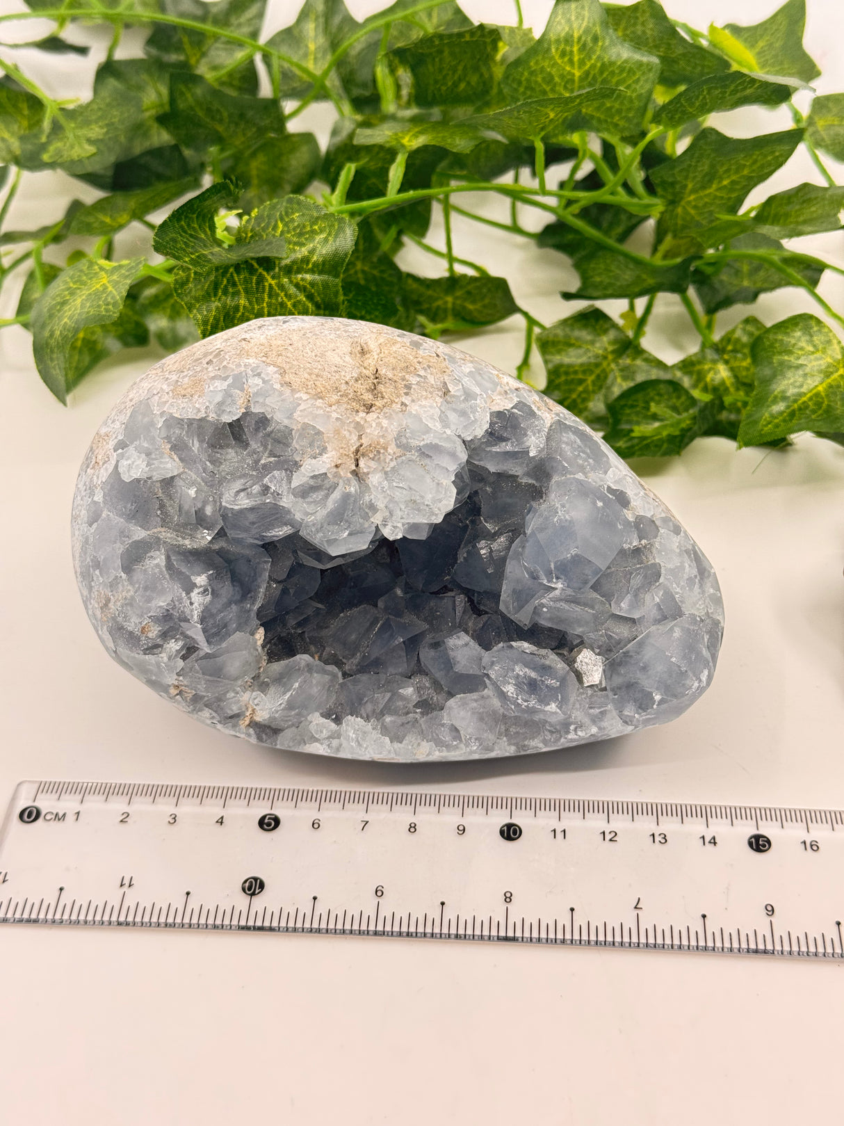 Celestite Egg 1.7kg – Whisper of the Angelic Realms