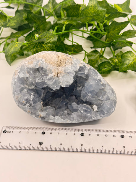Celestite Egg 1.7kg – Whisper of the Angelic Realms