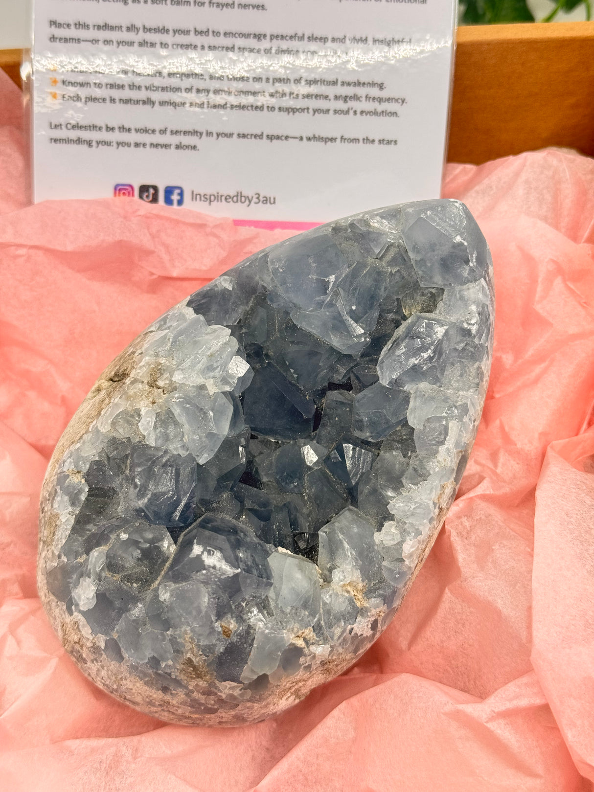 Celestite Egg 1.7kg – Whisper of the Angelic Realms
