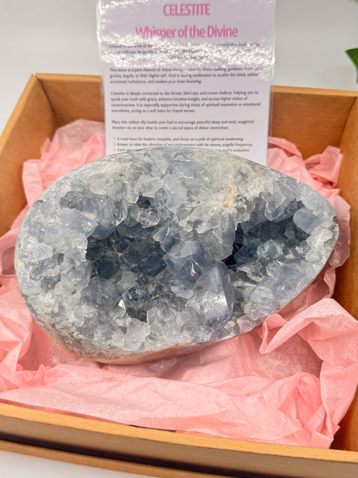 Celestite Egg 3.6kilos – Whisper of the Angelic Realms