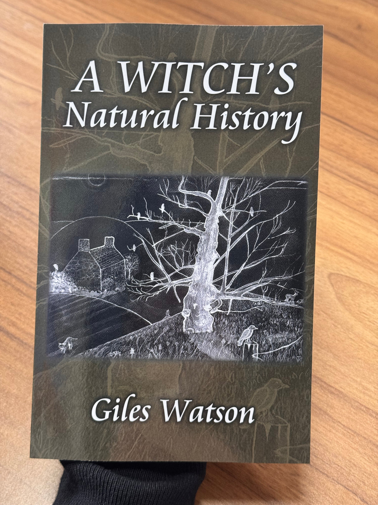 A Witches Natural History - Giles Watson
