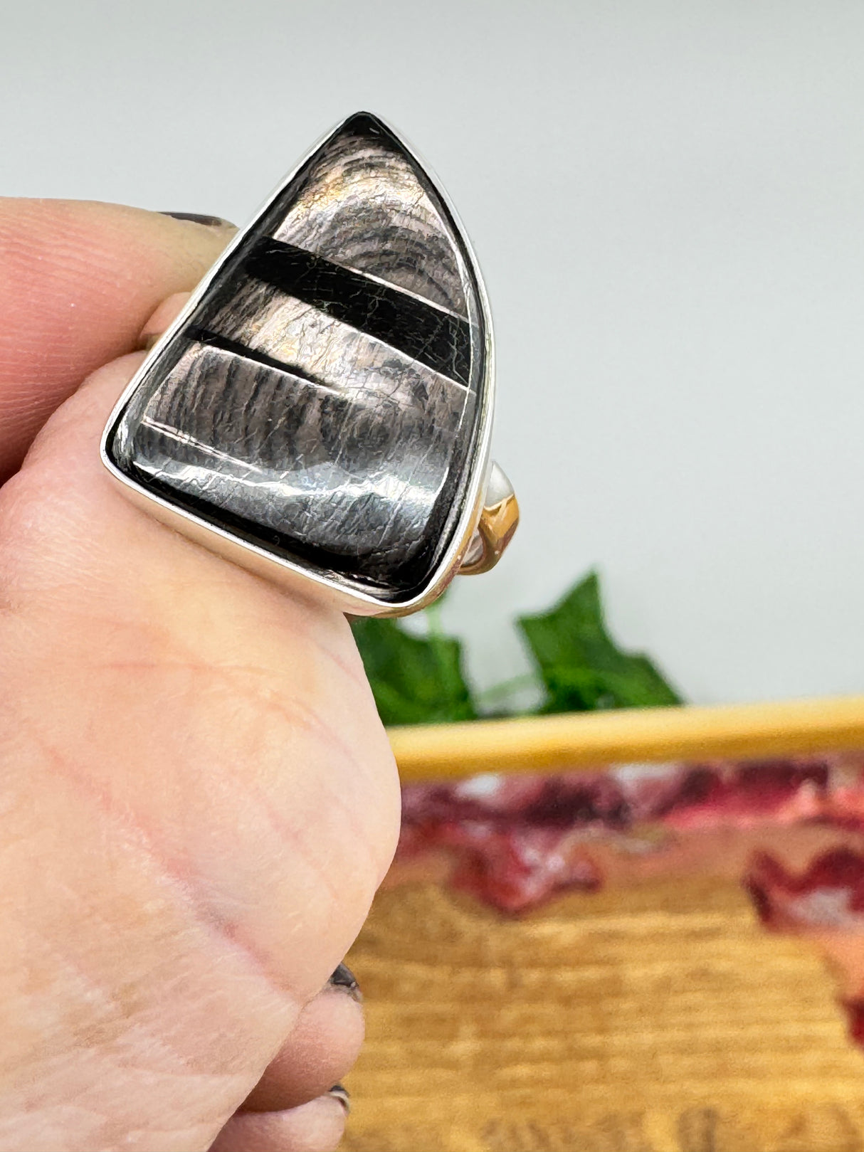 Hypersthene Silver Ring Size 9 -  Stone of Inner Quiet & Psychic Clarity