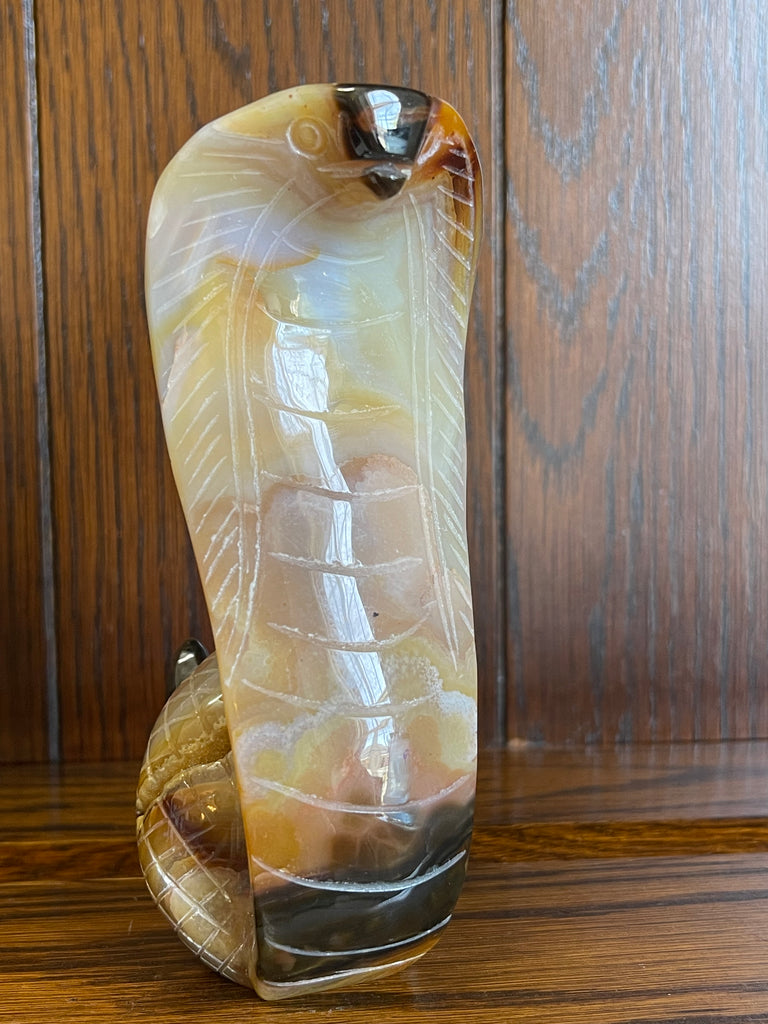 Botswana Agate Snake Carving with Druzy Back 324g-  "I release all habits and behaviours that no longer serve me."