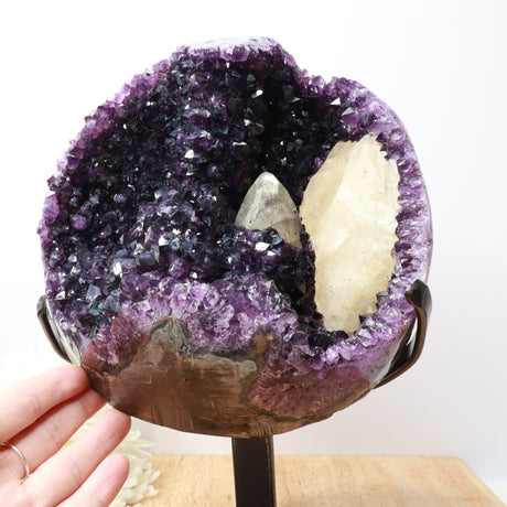 Uruguayan Amethyst with Calcite | 7.1kg | 30cm | Divine Clarity & Inner Illumination