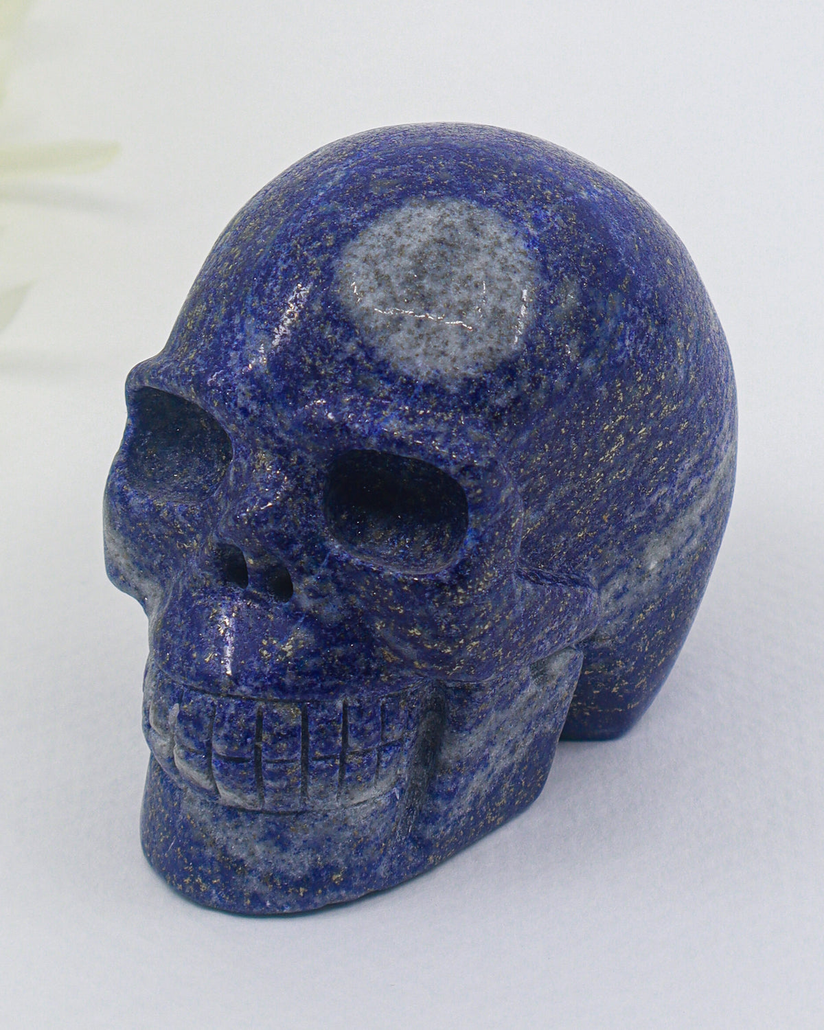 Lapis Lazuli Skull Carving – Wisdom, Truth & Spiritual Insight | 340g