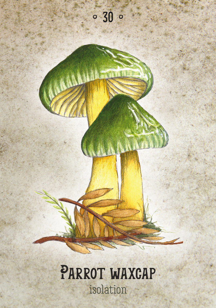 The Mushroom Spirit Oracle - Nicola McIntosh