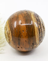 Natural Ocean Jasper Sphere 966g | Emotional Healing, Joy & Inner Peace
