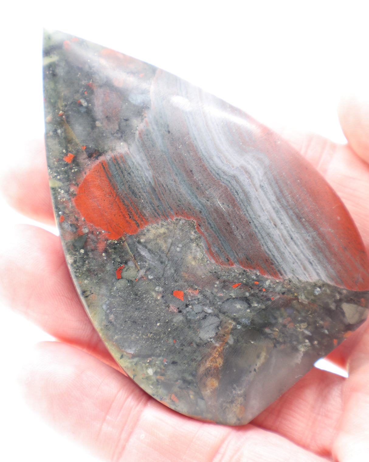 Warrior's Shield African Bloodstone Freeform