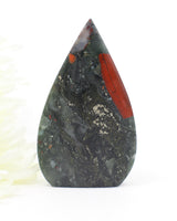 Stormforge African Bloodstone Freeform