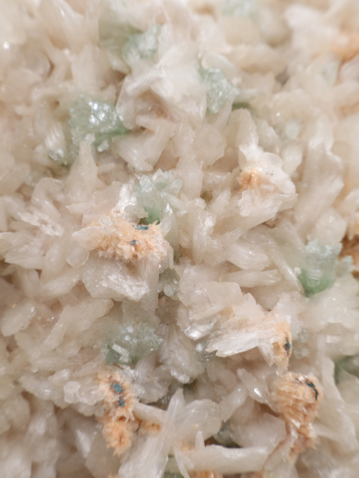 Magnificent Large Apophyllite & Stilbite Crystal Cluster – 1.826kg Collector Specimen