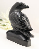 Black Obsidian Raven Carving | 12cm | Approx 900g | Protection & Wisdom