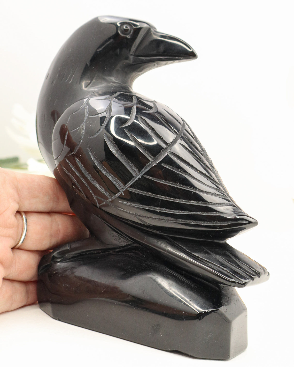 Black Obsidian Raven Carving | 12cm | Approx 900g | Protection & Wisdom