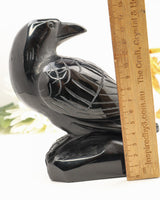 Black Obsidian Raven Carving | 12cm | Approx 900g | Protection & Wisdom
