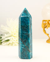 Blue Apatite Crystal Tower 476g – The Ocean of Possibilities | Motivation, Manifestation & Intuition
