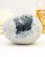 Large polished Celestite geode egg with sparkling pale blue crystal cavity displayed on a cream background.