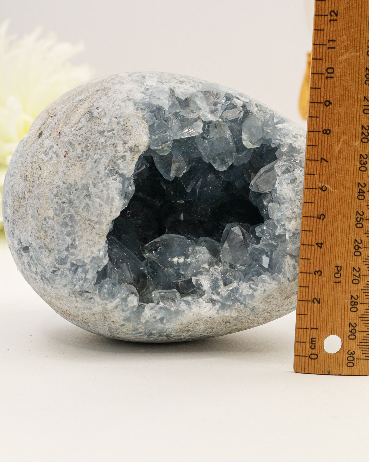 Celestite Geode Egg | 13cm | 2.3kg | Angelic Peace & Calm