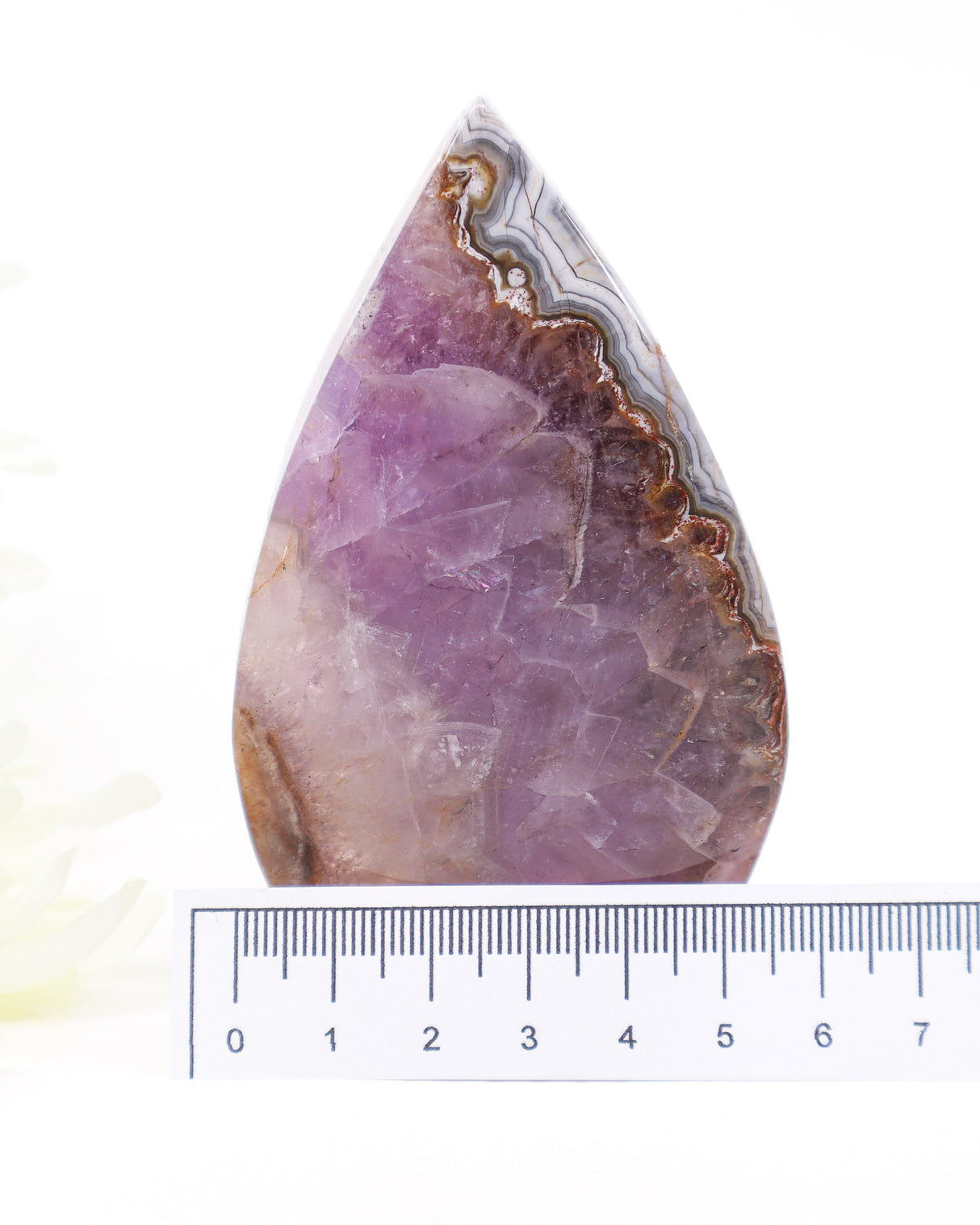 Chevron Amethyst Freeform | Intuition, Transformation & Spiritual Insight