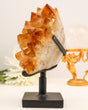 Large golden Citrine crystal cluster with sparkling points displayed on a black stand against a cream background.