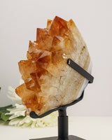Citrine Cluster | 1.6kg | Abundance & Prosperity