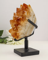 Citrine Cluster | 1.6kg | Abundance & Prosperity