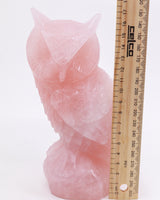 Rose Quartz Owl Carving 1.517kg – The Guardian of the Heart | Love, Wisdom & Compassion