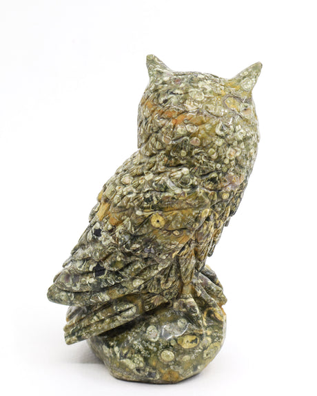 Rainforest Jasper (Rhyolite) Owl Carving 998g – Ancient Forest Guardian | Wisdom, Protection & Grounding