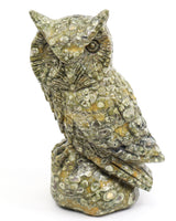 Rainforest Jasper (Rhyolite) Owl Carving 998g – Ancient Forest Guardian | Wisdom, Protection & Grounding