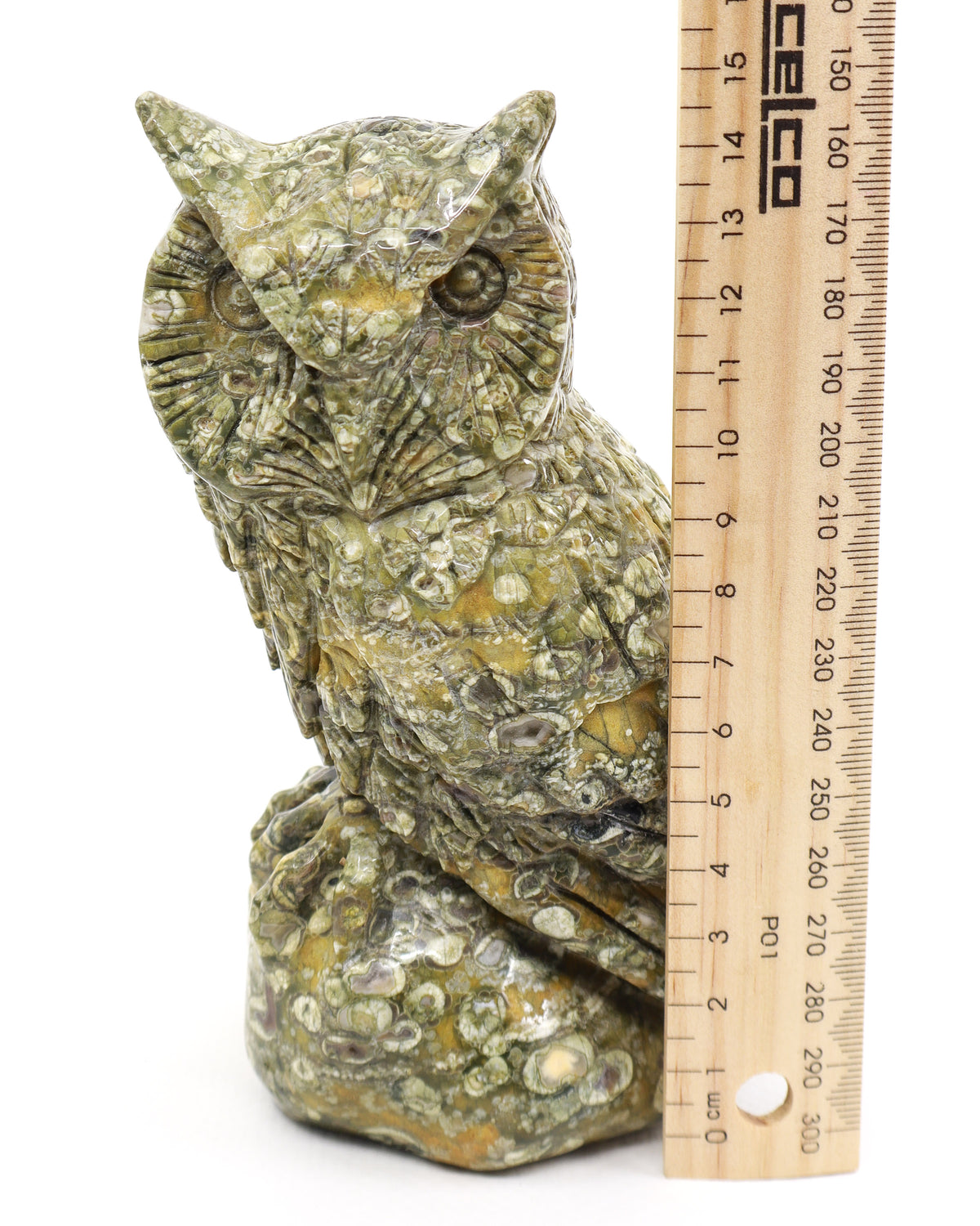 Rainforest Jasper (Rhyolite) Owl Carving 998g – Ancient Forest Guardian | Wisdom, Protection & Grounding