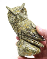 Rainforest Jasper (Rhyolite) Owl Carving 998g – Ancient Forest Guardian | Wisdom, Protection & Grounding