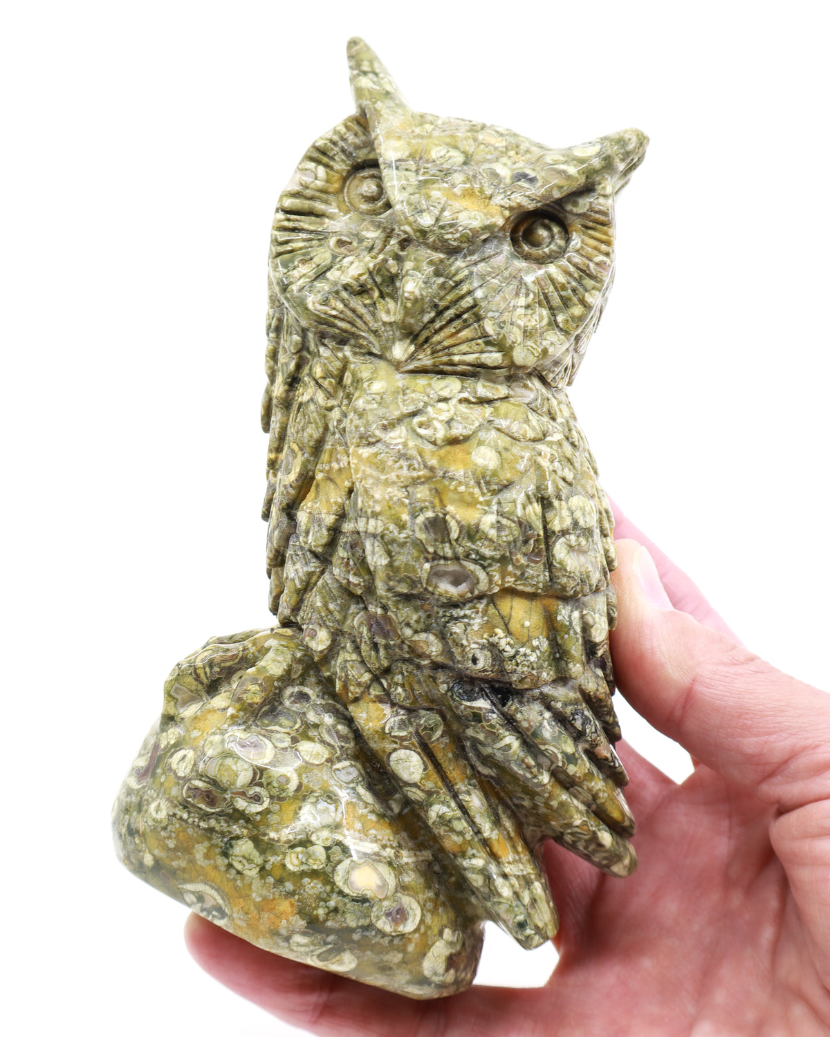 Rainforest Jasper (Rhyolite) Owl Carving 998g – Ancient Forest Guardian | Wisdom, Protection & Grounding