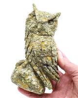 Rainforest Jasper (Rhyolite) Owl Carving 998g – Ancient Forest Guardian | Wisdom, Protection & Grounding