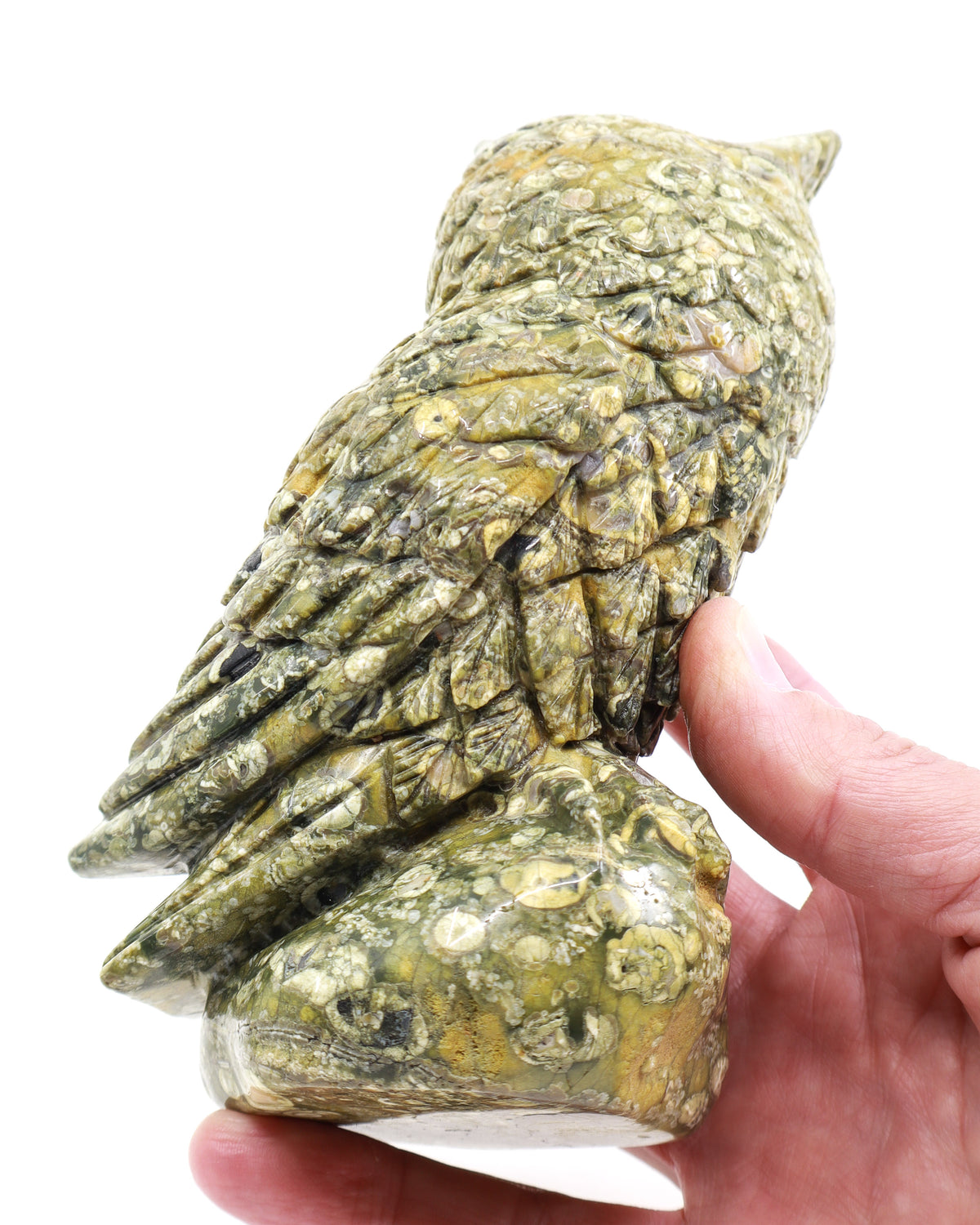 Rainforest Jasper (Rhyolite) Owl Carving 998g – Ancient Forest Guardian | Wisdom, Protection & Grounding