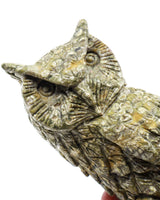 Rainforest Jasper (Rhyolite) Owl Carving 998g – Ancient Forest Guardian | Wisdom, Protection & Grounding