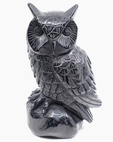 Close-up of Black Obsidian Owl crystal carving showing intricately engraved facial feathers, expressive circular eyes and polished black stone.