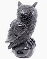 Black Obsidian Owl Carving 2.418kg – The Midnight Guardian | Protection, Wisdom & Grounding