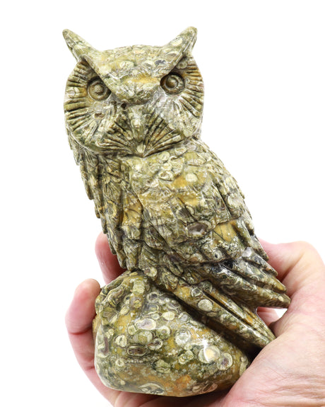 Rainforest Jasper Rhyolite Owl Carving 998g front view showing natural green, golden and cream orbicular patterns, available at Inspired By 3 Australia.