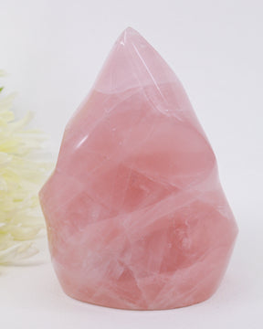 Madagascar Rose Quartz flame 766g with beautiful blush pink colouring, translucent crystal layers and polished sculptural flame shape for love and self-love.