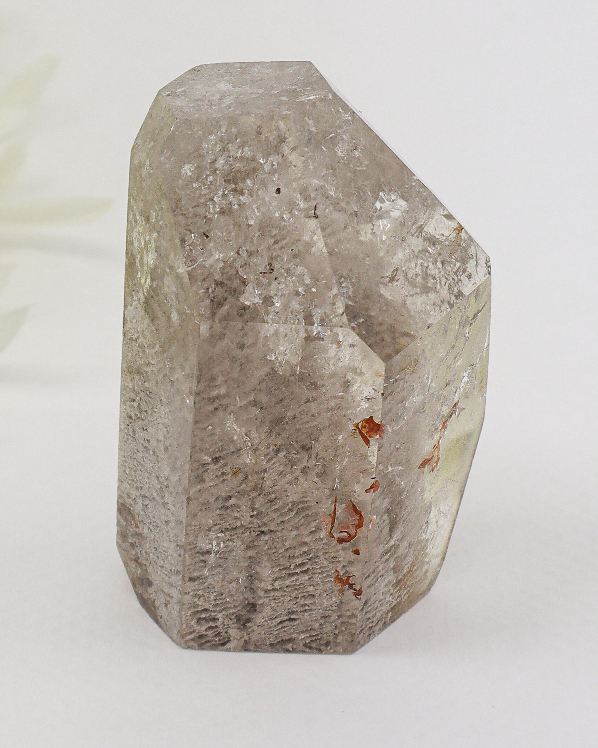 Garden Quartz Crystal 125g – The Ancient Forest | Grounding & Spiritual Growth