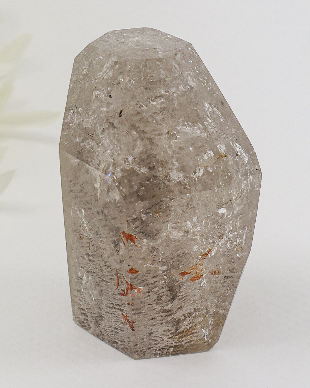 Garden Quartz Crystal 125g – The Ancient Forest | Grounding & Spiritual Growth