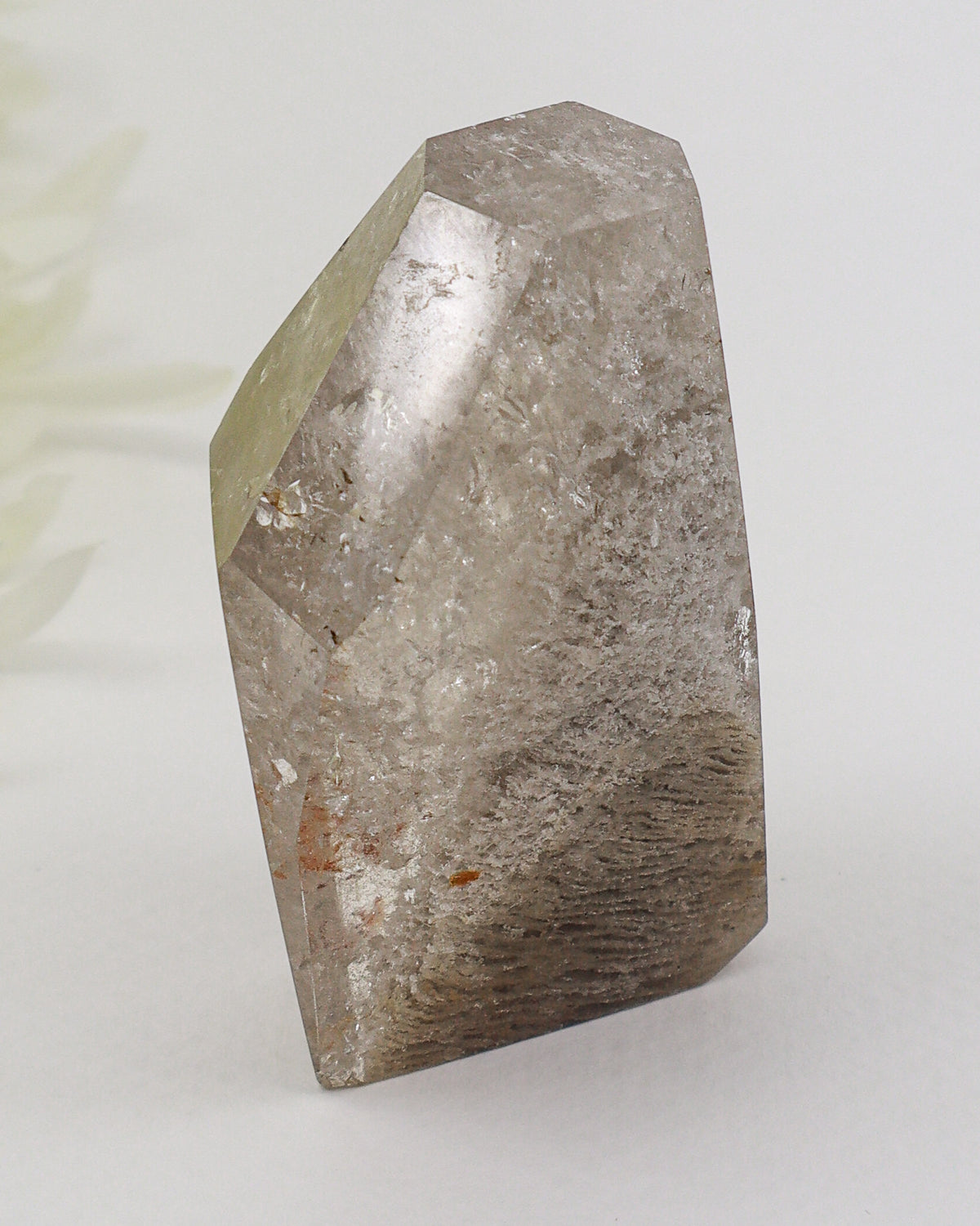 Garden Quartz Crystal 125g – The Ancient Forest | Grounding & Spiritual Growth