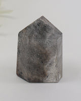 Phantom Garden Quartz Point 83g – The Ancient Forest | Transformation & Spiritual Growth