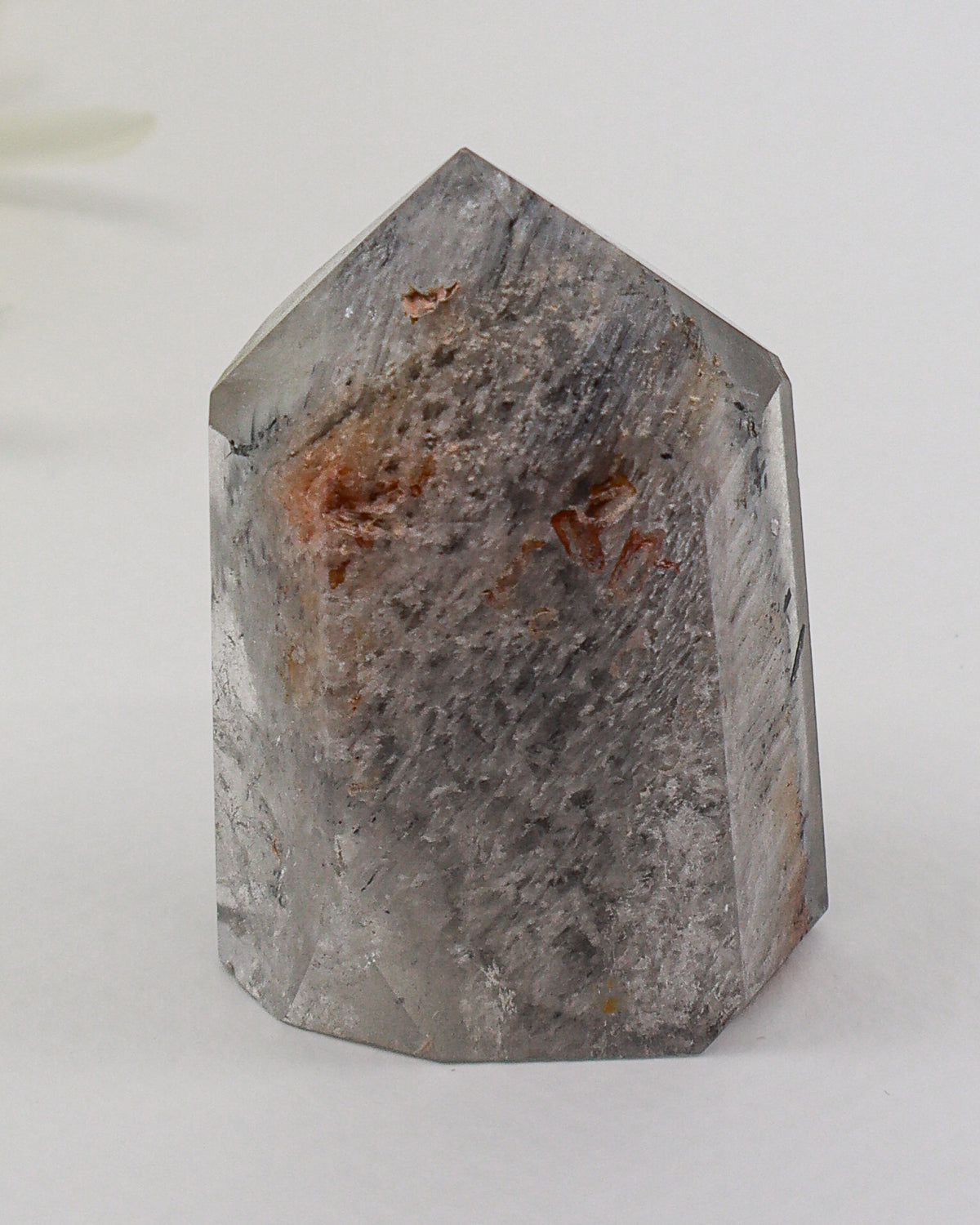 Phantom Garden Quartz Point 83g – The Ancient Forest | Transformation & Spiritual Growth
